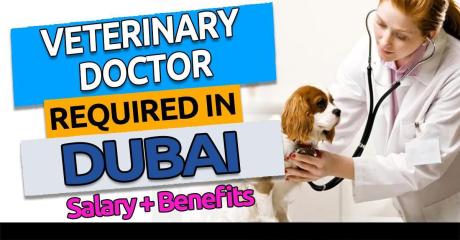 Veterinary Doctor Required in Dubai