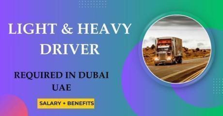 Light and Heavy Driver Required in Dubai