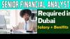 Senior Financial Analyst Required in Dubai