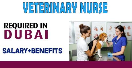 Veterinary Nurse Required in Dubai