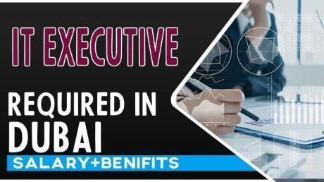 IT Executive Required in Dubai