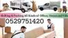 PROFESSIONAL MOVERS & PACKERS