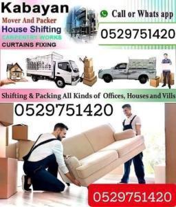 PROFESSIONAL MOVERS & PACKERS