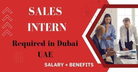 Sales Intern Required in Dubai