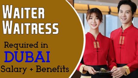 Waiter/Waitress Required in Dubai
