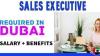 Sales Executive Required in Dubai