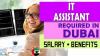 IT Assistant Required in Dubai