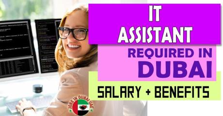 IT Assistant Required in Dubai