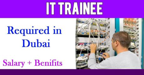 IT Trainee Required in Dubai
