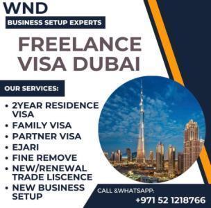 Business Setup Experts