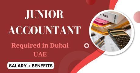 Junior Accountant Required in Dubai
