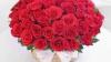 AED 279, Best Flower Delivery Dubai