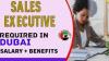 Sales Executive Required in Dubai