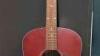 New Seagull Entourage Autumn Burst Acoustic guitar