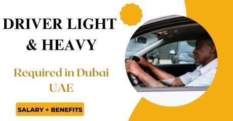 Driver Light & Heavy Required in Dubai