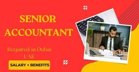 Senior Accountant Required in Dubai