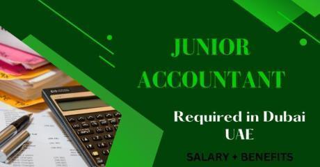 Junior Accountant Required in Dubai