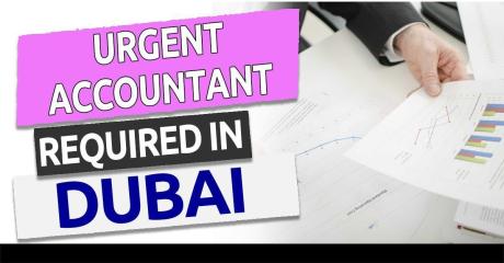 Urgent Accountant Required in Dubai