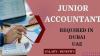Junior Accountant Required in Dubai