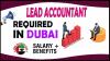 Lead Accountant Required in Dubai