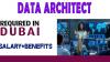 Data Architect Required in Dubai