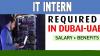 Information Technology Intern Required in Dubai