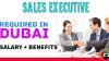 Sales Executive Required in Dubai