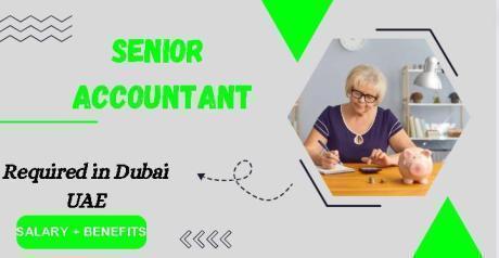 Senior Accountant Required in Dubai