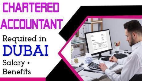 Chartered Accountant Required in Dubai