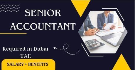 Senior Accountant Required in Dubai