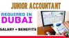 Junior Accountant Required in Dubai