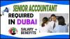 Senior Accountant Required in Dubai