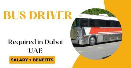 Bus Driver Required in Dubai