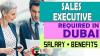 Sales Executive Required in Dubai