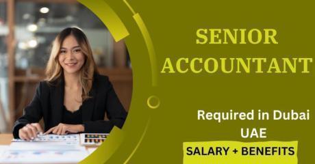 Urgent Senior Accountant Required in Dubai UAE