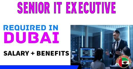 Senior Information Technology Executive Required in Dubai