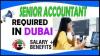 Senior Accountant Required in Dubai