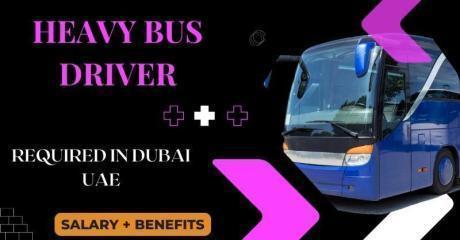 Heavy Bus Driver Required in Dubai