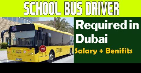 School Bus Driver Required in Dubai