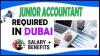 Junior Accountant Required in Dubai