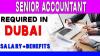 Senior Accountant Required in Dubai