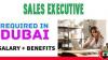 Sales Executive Required in Dubai