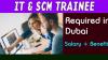 IT & SCM Trainee Required in Dubai