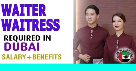 Waiter/Waitress Required in Dubai
