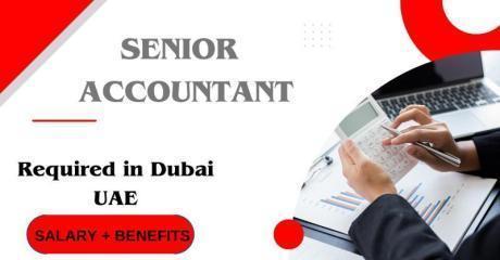 Senior Accountant Required in Dubai