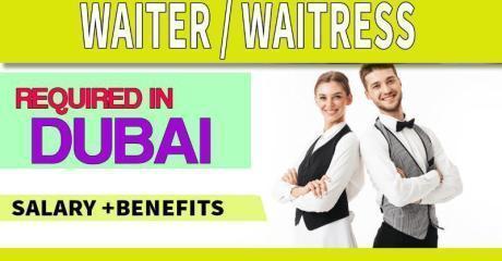 Waiter / Waitress Required in Dubai