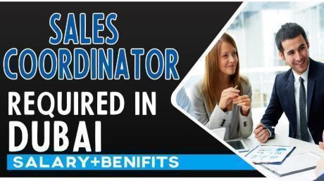 Sales Coordinator Required in Dubai