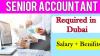 Senior Accountant Required in Dubai