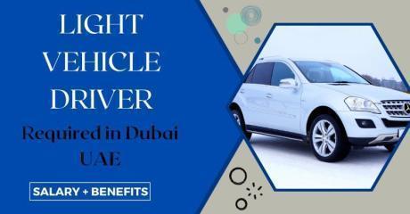 Urgent Light Vehicle Driver Required in Dubai