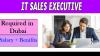 IT Sales Executive Required in Dubai